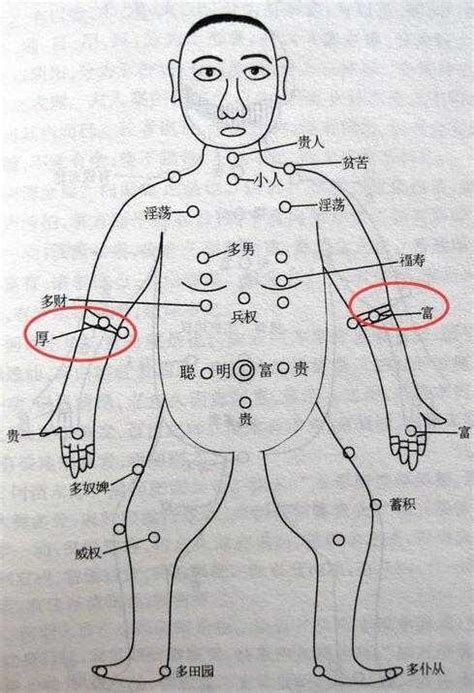 下手臂有痣|手臂上有痣會有什麼樣的命運？對照自己手臂來看！